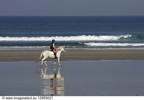 France France Finistere Iroise Sea Plogoff Baie Des Trepasses