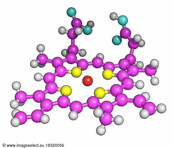 Heme Porphyrin Ring Heme Porphyrin Ring The Iron Atom In Heme Binds To