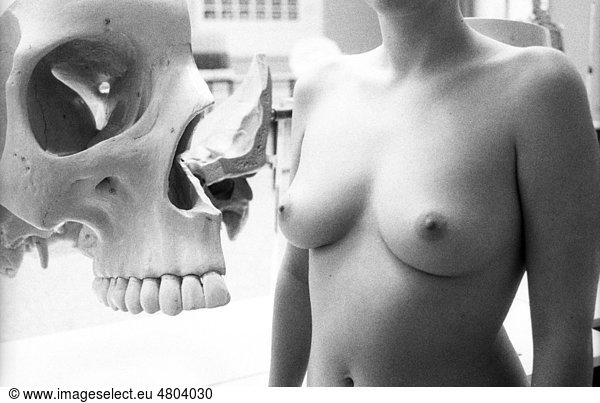 Morbid Nude Morbid Nude Woman Nude With Anatomical Skull Anatomical My Xxx Hot Girl