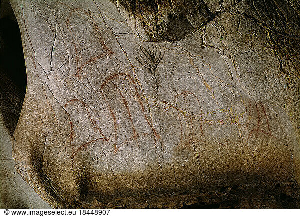 Tectiforms Cave Drawing In The Cave Of El Castillotectiformscave Of