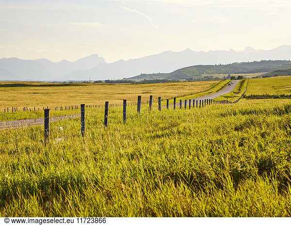'A country road between green fields and a silhouette of mountains in the distance; Cochrane  Alberta  Canada'