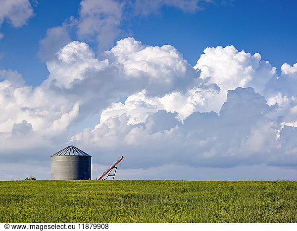 'A lone silo in a green field; Alberta  Canada'