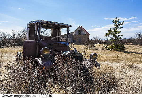'A vintage car sitting in a field with overgrown grass and shrubs; Orion  Alberta  Canada'