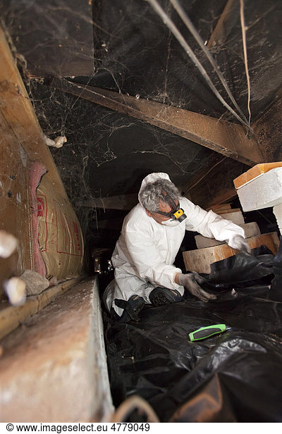 'A worker with Veterans Green Jobs does weatherization work in the crawl space below a mobile home  installing a plastic vapor barrier