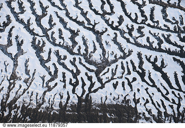 'Aerial view of the landscape in winter with unique branching patterns  Kachemak Bay; Alaska  United States of America'
