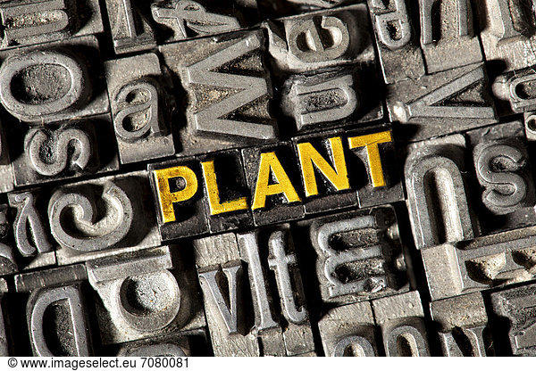 'Alte Bleilettern bilden das englische Wort ''PLANT'''