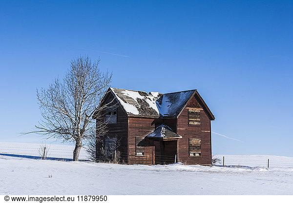 'An old wooden house abandoned in a snow covered field with a blue sky; Orion  Alberta  Canada'