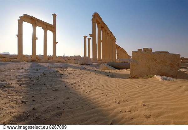 über  Sonnenaufgang  Großstadt  Ruine  antik  Palmyra  Syrien