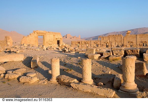 über  Sonnenaufgang  Großstadt  Ruine  antik  Palmyra  Syrien