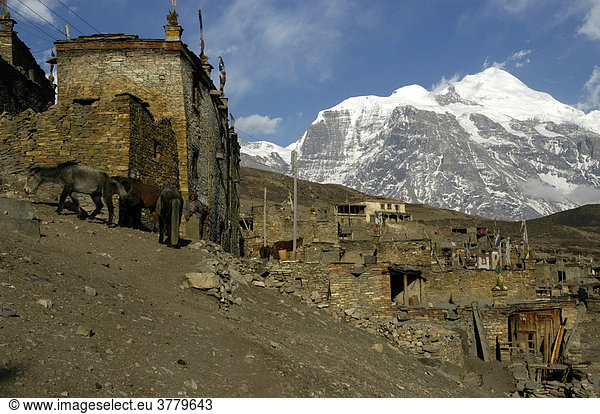 Übereinander geschachtelte Häuser aus Stein mit flachen Dächern vor schneebedecktem Berg Kang Guru Nar Nar-Phu Annapurna Region Nepal