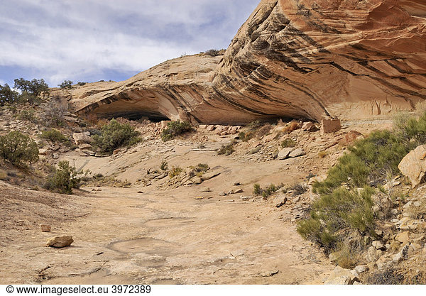 Überhängende Felswand der Cold Springs Cave  darunter historische Überreste von Behausungen der Anasazi-Indianer  Bluff  Utah  USA