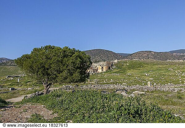 Überreste  Ruinen in Hierapolis  Hieropolis  bei Pamukkale  Denizli  Westtürkei  Türkei  Asien