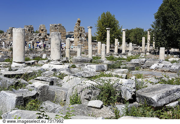 Überreste und Säulen  Aphroditetempel  Aphrodisias  Geyre  Karacasu  Aydin  Westtürkei  Türkei  Asien