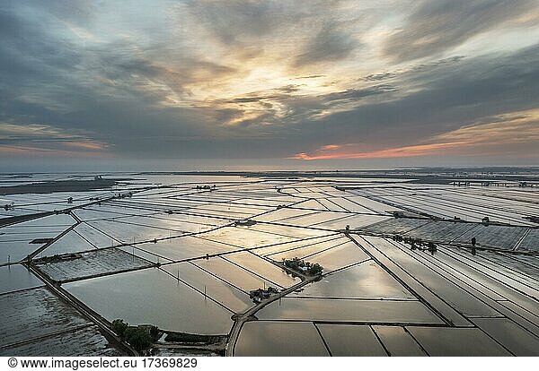Überschwemmte Reisfelder im Mai bei Tagesanbruch  Luftbild  Drohnenaufnahme  Naturschutzgebiet Ebro-Delta  Provinz Tarragona  Katalonien  Spanien  Europa