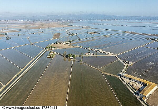 Überschwemmte Reisfelder im Mai  Luftbild  Drohnenaufnahme  Naturschutzgebiet Ebro-Delta  Provinz Tarragona  Katalonien  Spanien  Europa