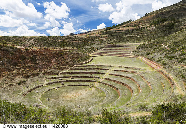 'Circular terraces of Moray  town of Maras in Sacred Valley of Peru; Moray  Cusco  Peru'