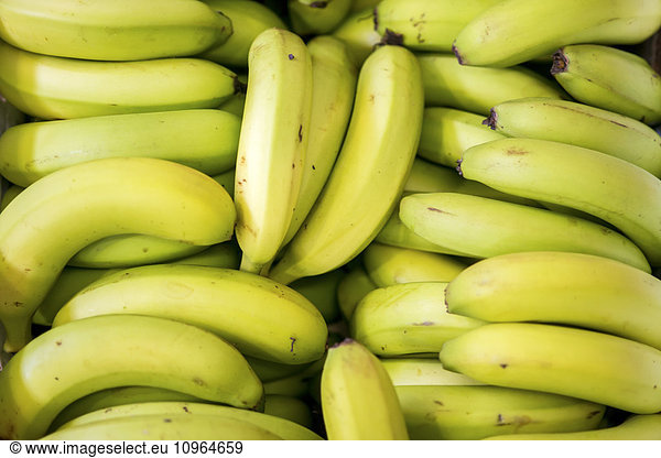 'Close up of a box full of bananas at the Tshwane Fresh Produce Market; Pretoria  Gautang  South Africa'