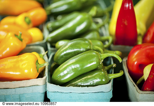 'Colorful peppers stacked in containers; Denton  Maryland  United States of America'