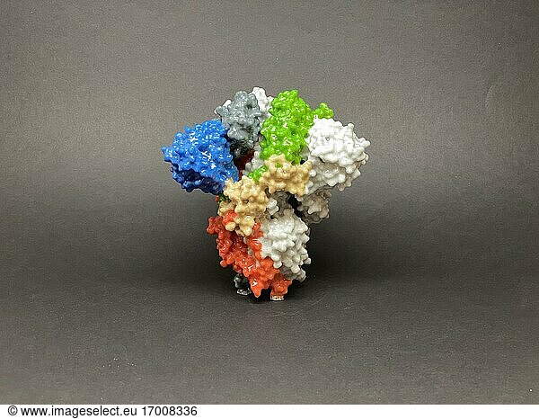 3D-Druck eines Spike-Proteins auf der Oberfläche von SARS-CoV-2  auch bekannt als 2019-nCoV  dem Virus  das COVID-19 verursacht. Spike-Proteine bedecken die Oberfläche von SARS-CoV-2 und ermöglichen es dem Virus  in menschliche Zellen einzudringen und diese zu infizieren. Weitere Informationen finden Sie im NIH 3D Print Exchange unter 3dprint.nih.gov. Kredit: NIH