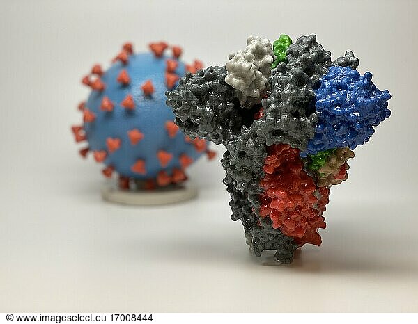 3D-Druck eines Spike-Proteins von SARS-CoV-2  auch bekannt als 2019-nCoV  dem Virus  das COVID-19 verursacht  vor einem 3D-Druck eines SARS-CoV-2-Viruspartikels. Das Spike-Protein (im Vordergrund) ermöglicht es dem Virus  in menschliche Zellen einzudringen und diese zu infizieren. Auf dem Virusmodell ist die Virusoberfläche (blau) mit Spike-Proteinen (rot) bedeckt  die es dem Virus ermöglichen  in menschliche Zellen einzudringen und sie zu infizieren. Weitere Informationen finden Sie im NIH 3D Print Exchange unter 3dprint.nih.gov. Kredit: NIH. .