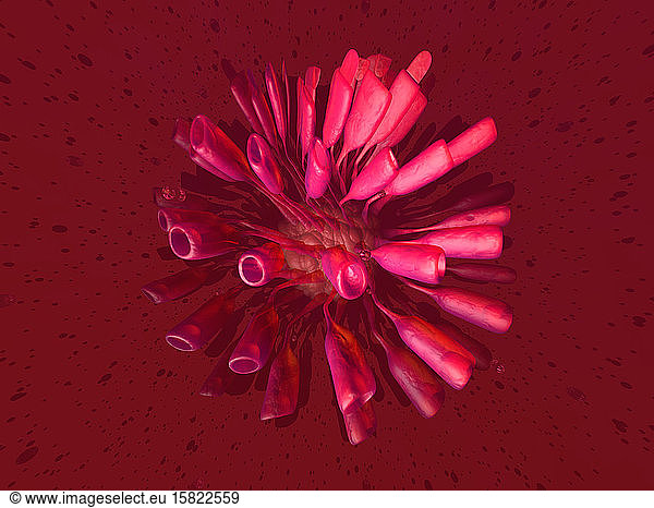 3D-gerenderte Illustration  Visualisierung eines generischen Virus