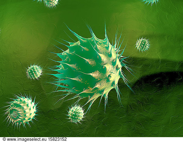 3D-gerenderte Illustration  Visualisierung von generischen Keimen oder Bakterien