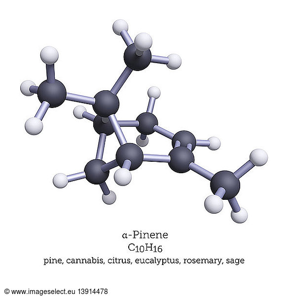 3D Illustration of alpha-Pinene