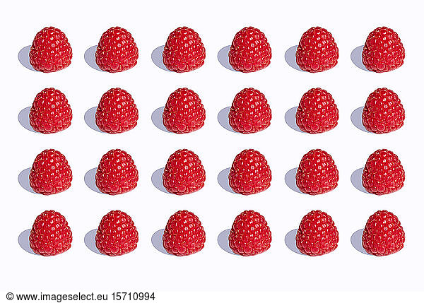 3D Illustration  raspberries in a row on white background