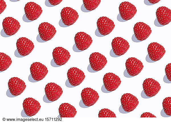 3D Illustration  raspberries in a row on white background