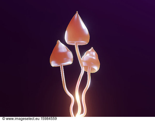3D rendered illustration,  visualization of psychoactive mushroom Psilocybe Semilanceata known as European magic mushroom containing substance Psilocybin