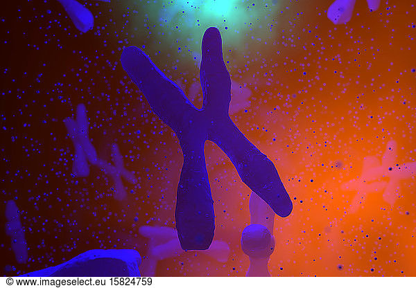 3D Rendered Illustration  scientific visualisation of a Chromosome