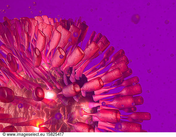 3D Rendered Illustration  visualisation of a generic virus