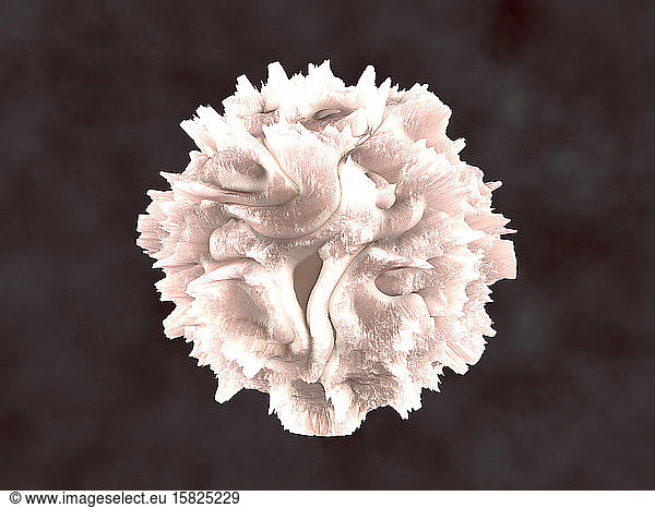 3D Rendered Illustration  visualisation of a Leukocyte  white blood cell
