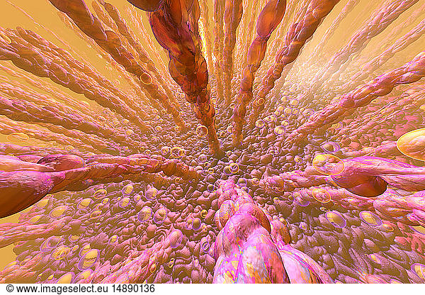 3D Rendered Illustration  visualisation of the human intestinal villi and the the metabolism