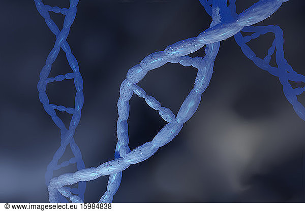 3D rendered illustration  visualization of DNA double Helix which carry genes of biological organism