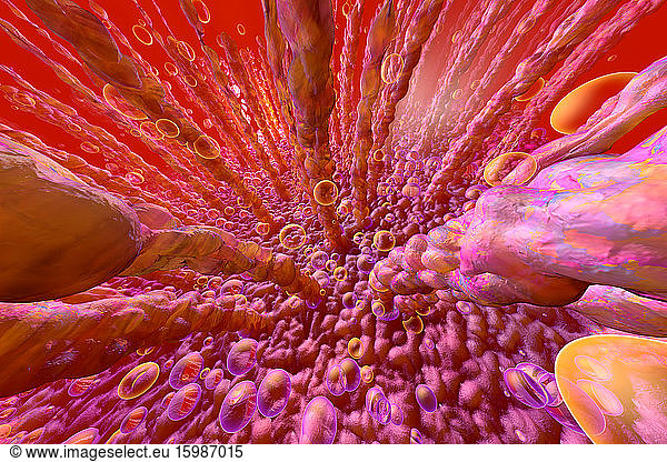 3D rendered illustration  visualization of human intestinal villi and metabolism on microscopic level