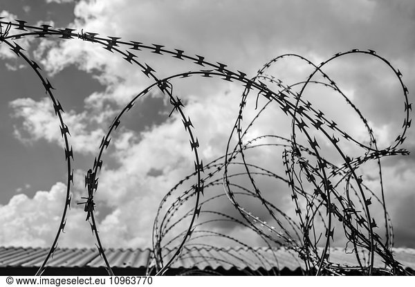 'Detail of barbed wire in black and white; Soweto  Gautang  South Africa'
