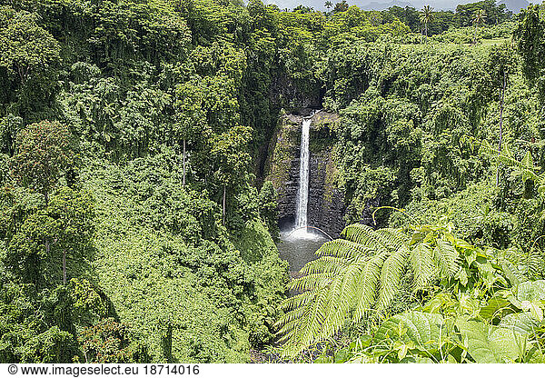 (Fuipisia) waterfall surrounded of exhuberant green tropical vegetatio