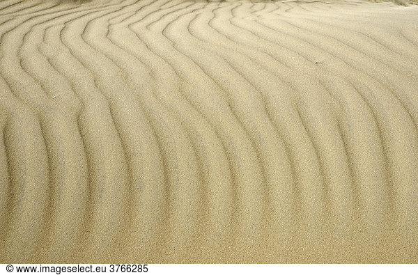 'Geometrische Wellenstrukturen in einer Sanddüne