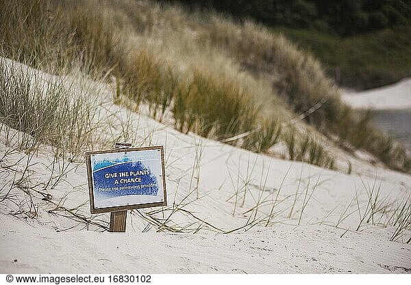 'Give the plants a chance' conservation sign at Rarawa Beach in Northland Region  North Island  New Zealand