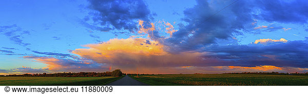 'Glowing golden clouds over green fields and a country road at sunset; Alberta  Canada'