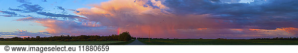 'Glowing pink clouds over green fields and a country road at sunset; Alberta  Canada'