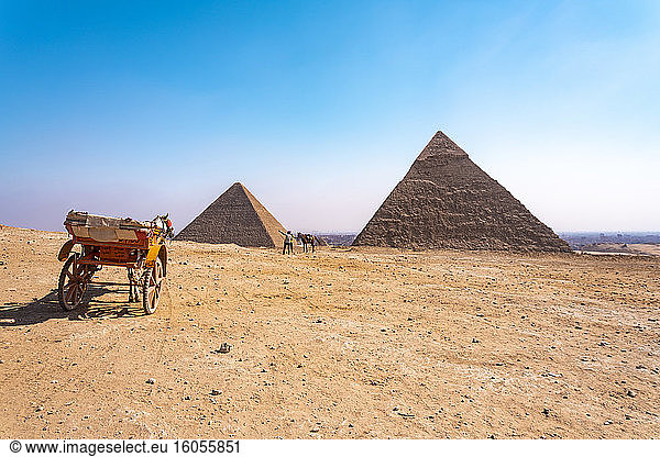 Ägypten  Gizeh Gouvernement  Gizeh  Kutsche vor den Pyramiden von Gizeh