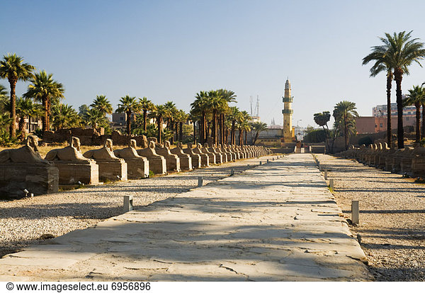 Ägypten  Luxor  Luxor Tempel