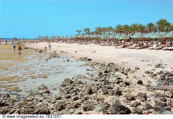 Ägypten  Scharm El-Scheich  Sharm el-Sheikh