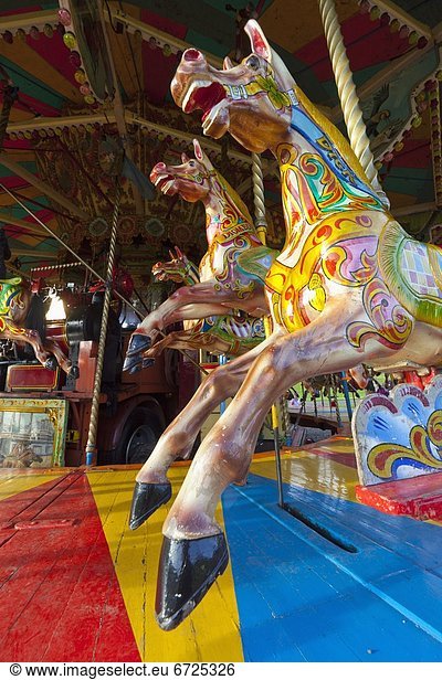 'Horses On A Colorful Carousel