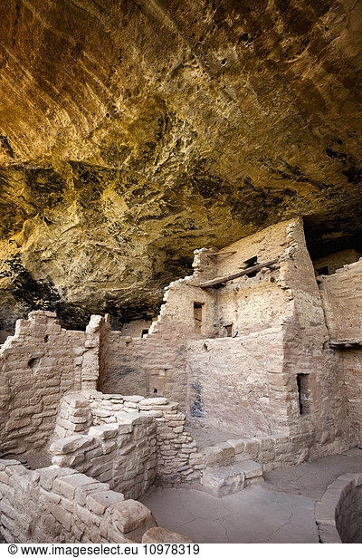 'Inside the Spruce Tree House cliff dwellings at Mesa Verde National Park with ancient ruins under a sweeping rock overhang; Colorado  United States of America'
