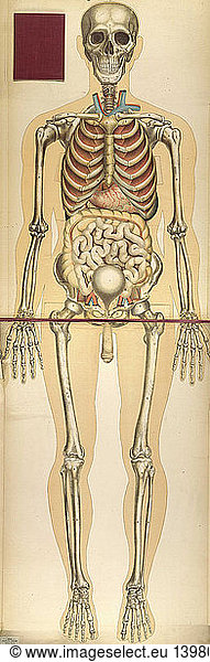 'Julien Bouglé  ''Le corps humain''  1899'