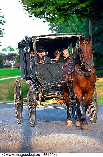 4-köpfige amische Familie in einem von einem Pferd gezogenen Buggy.