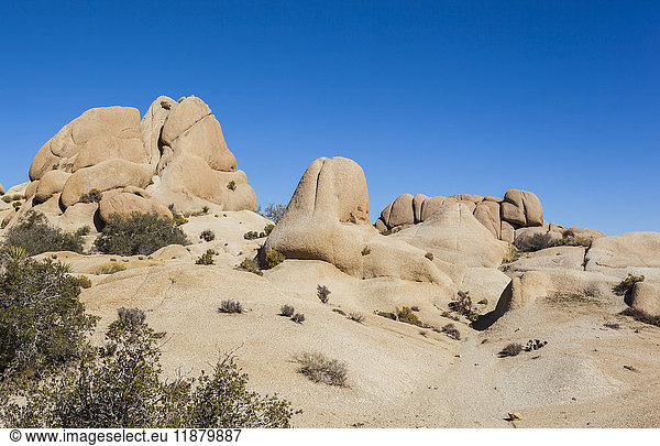 'Landscape in Joshua Tree National Park; California  United States of America'